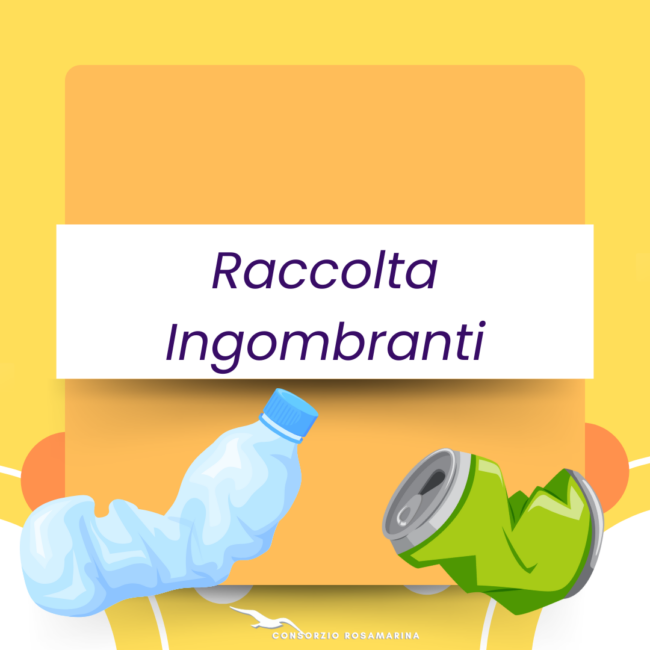 Raccolta ingombranti
